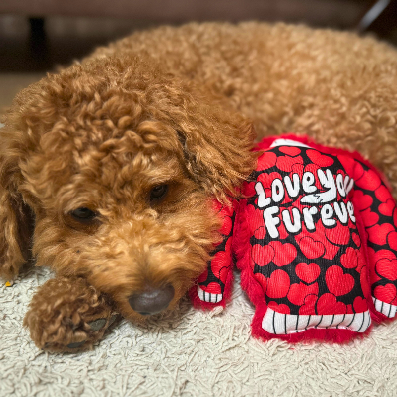 WufWuf Love You Furever Squeaky Plush Sweater Dog Toy