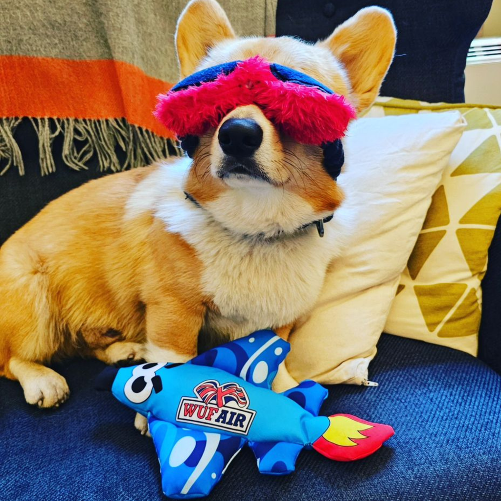 WufWuf Pilot Plush & Rope Dog Toy Bundle: Plane, Sunglasses