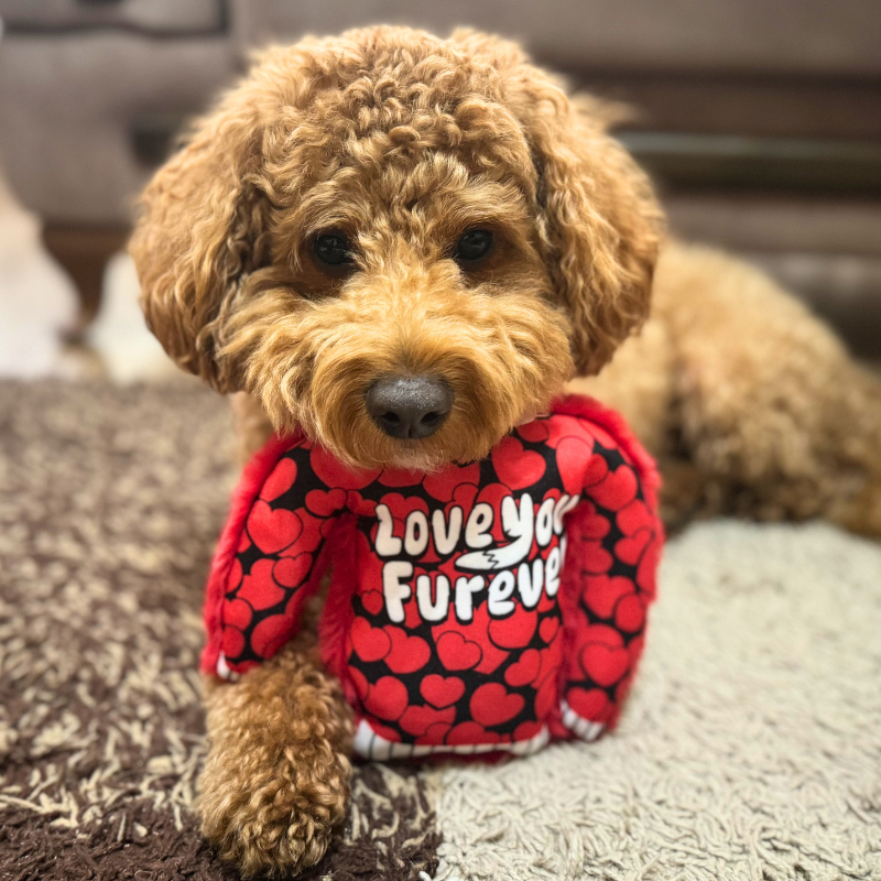 WufWuf Love You Furever Squeaky Plush Sweater Dog Toy