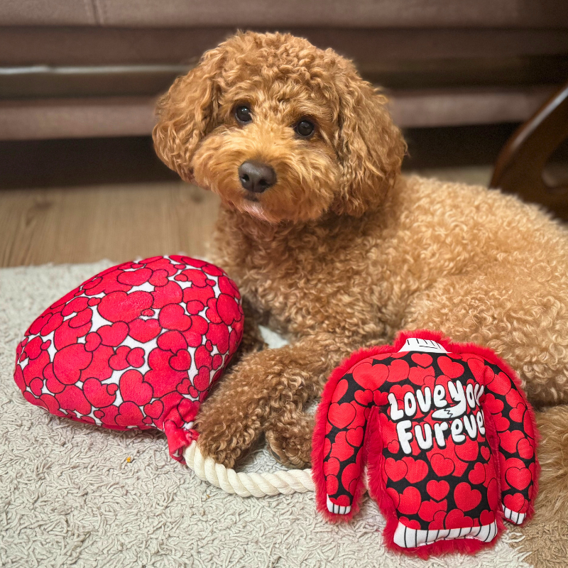 WufWuf Love You Furever Squeaky Plush Sweater Dog Toy