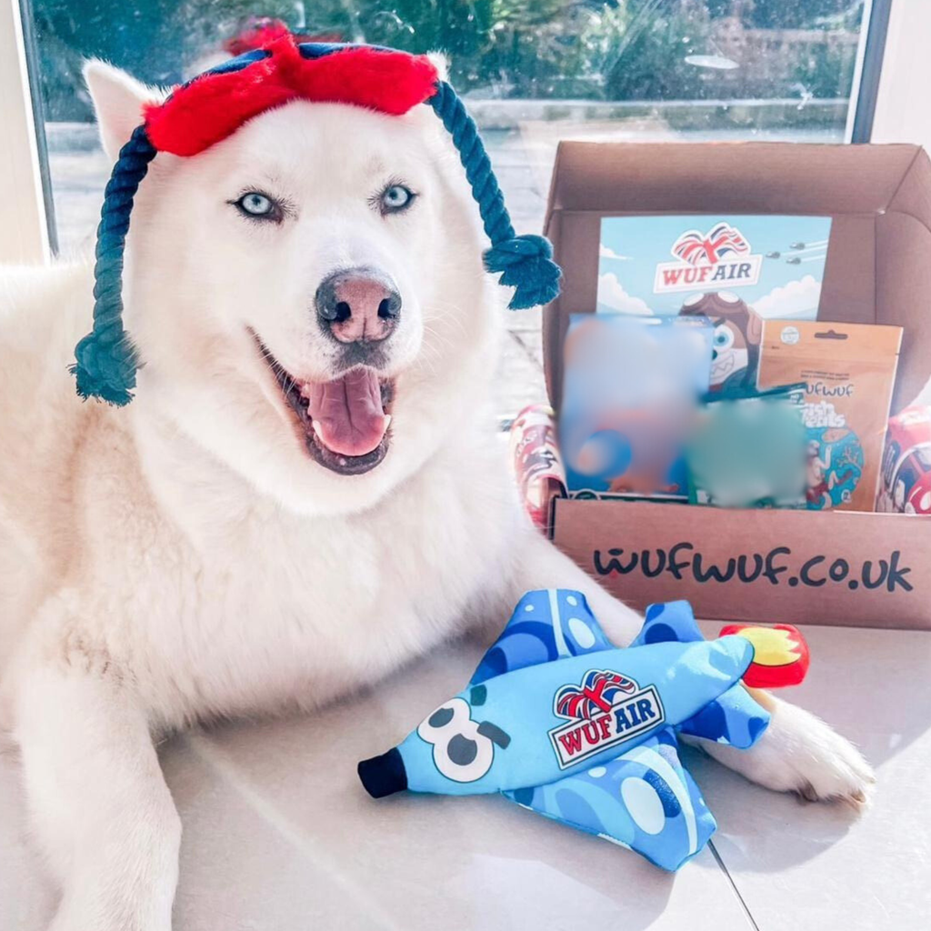 WufWuf Pilot Plush & Rope Dog Toy Bundle: Plane, Sunglasses